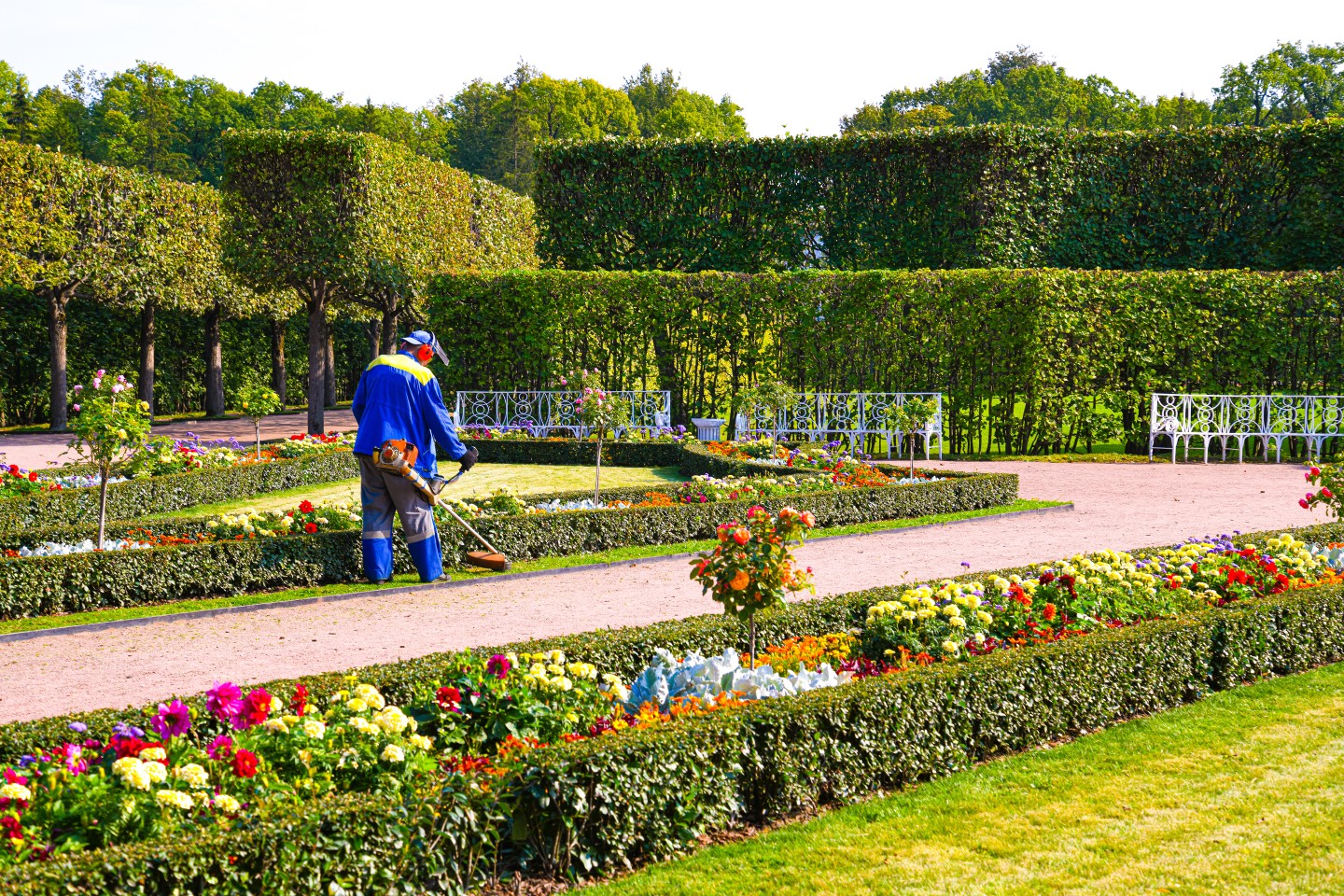 commercial landscape maintenance